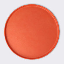 Load image into Gallery viewer, Meri Meri  Large Bright Mix Compostable Plates