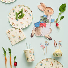Load image into Gallery viewer, Meri Meri Peter Rabbit Dinner Plates
