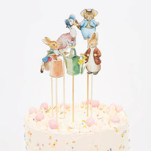 Load image into Gallery viewer, Peter Rabbit™ &amp; Friends Cake Toppers
